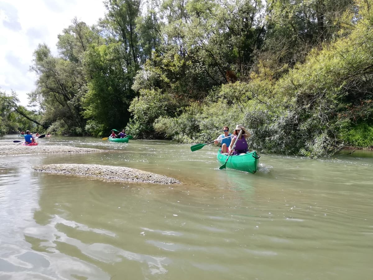 Des kayaks entre Seuil et Rethel sur une plage.